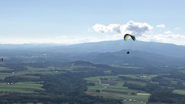 Niseko Paragliding（ニセコパラグライディング）に投稿された画像（2020/8/24）