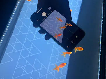 すみだ水族館に投稿された画像（2020/8/24）