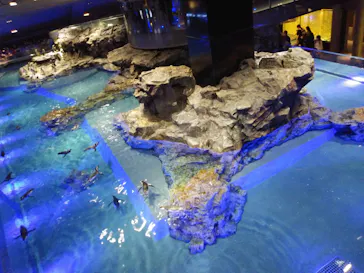 すみだ水族館に投稿された画像（2020/8/24）