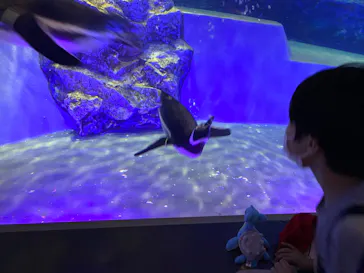 すみだ水族館に投稿された画像（2020/8/25）