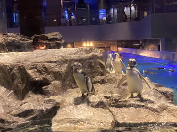 すみだ水族館に投稿された画像（2020/8/25）