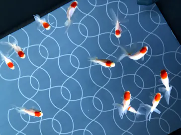 すみだ水族館に投稿された画像（2020/8/25）