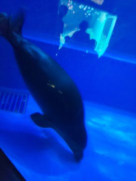 サンシャイン水族館に投稿された画像（2020/8/25）