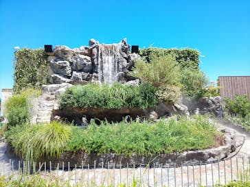 サンシャイン水族館に投稿された画像（2020/8/25）