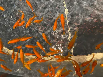 すみだ水族館に投稿された画像（2020/8/25）