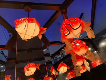 すみだ水族館に投稿された画像（2020/8/25）