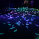 すみだ水族館に投稿された画像（2020/8/25）