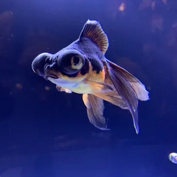 すみだ水族館に投稿された画像（2020/8/25）