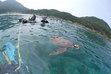 屋久島ガイドクラブに投稿された画像（2020/8/25）