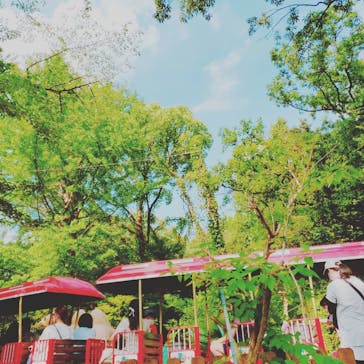 としまえんに投稿された画像（2020/8/25）