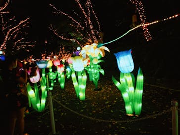 としまえんに投稿された画像（2020/8/25）