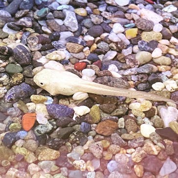 株式会社Gに投稿された画像（2020/8/25）