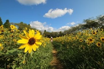 成田ゆめ牧場に投稿された画像（2020/8/25）