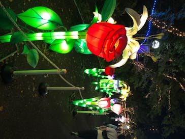 としまえんに投稿された画像（2020/8/25）