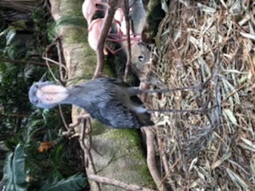 那須どうぶつ王国に投稿された画像（2020/8/25）