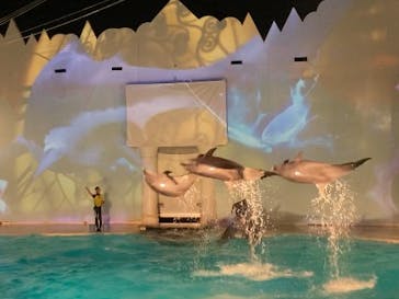 株式会社Gに投稿された画像（2020/8/25）