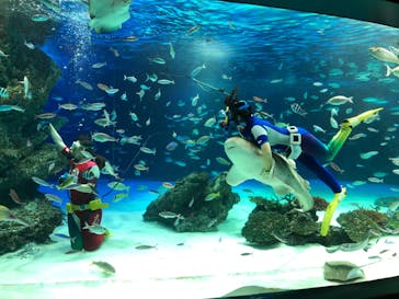 サンシャイン水族館に投稿された画像（2020/8/25）