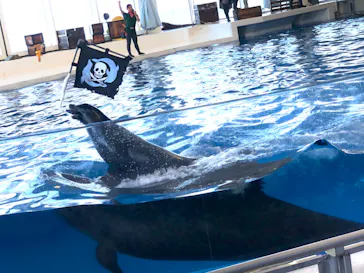 アクアワールド茨城県大洗水族館に投稿された画像（2020/8/26）