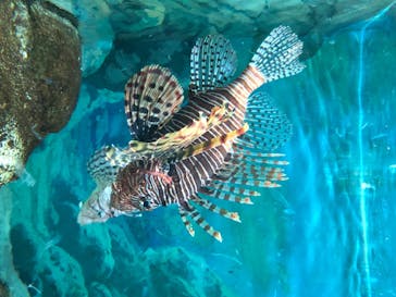 株式会社Gに投稿された画像（2020/8/26）