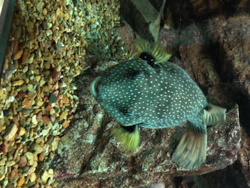 株式会社Gに投稿された画像（2020/8/26）