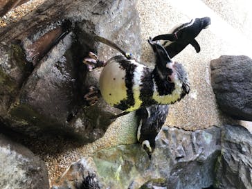 株式会社Gに投稿された画像（2020/8/26）