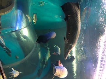 株式会社Gに投稿された画像（2020/8/26）