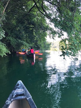 カヌーリゾートたまよどに投稿された画像（2020/8/24）