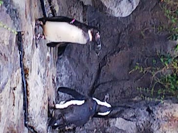 サンシャイン水族館に投稿された画像（2020/8/26）