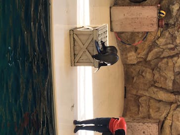 鳥羽水族館に投稿された画像（2020/8/26）