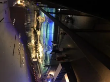 すみだ水族館に投稿された画像（2020/8/26）