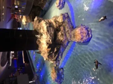 すみだ水族館に投稿された画像（2020/8/26）