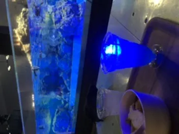 すみだ水族館に投稿された画像（2020/8/26）