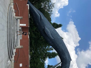 国立科学博物館に投稿された画像（2020/8/26）