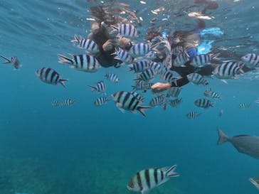 DIVING-SHOP SUNSに投稿された画像（2020/8/26）