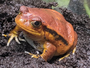 サンシャイン水族館に投稿された画像（2020/8/26）