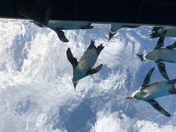 サンシャイン水族館に投稿された画像（2020/8/26）