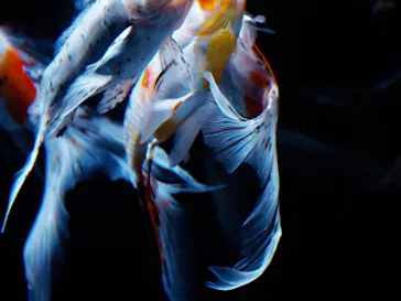 すみだ水族館に投稿された画像（2020/8/26）