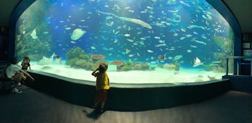 サンシャイン水族館に投稿された画像（2020/8/26）