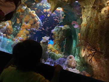 サンシャイン水族館に投稿された画像（2020/8/26）