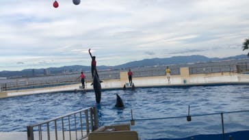 マリンワールド海の中道に投稿された画像（2020/8/26）