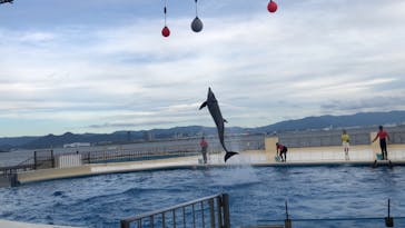 マリンワールド海の中道に投稿された画像（2020/8/26）