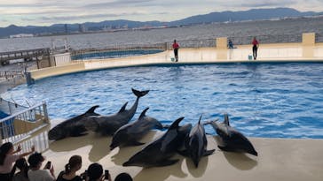 マリンワールド海の中道に投稿された画像（2020/8/26）