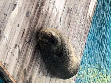 マリンワールド海の中道に投稿された画像（2020/8/26）