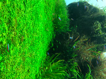 すみだ水族館に投稿された画像（2020/8/26）