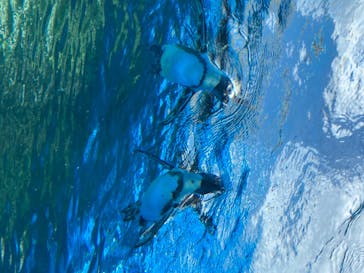 サンシャイン水族館に投稿された画像（2020/8/26）