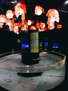 すみだ水族館に投稿された画像（2020/8/26）