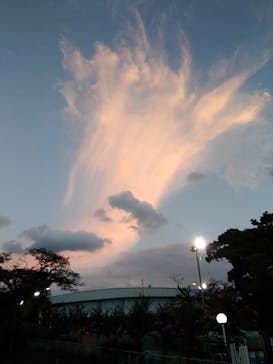 としまえんに投稿された画像（2020/8/26）