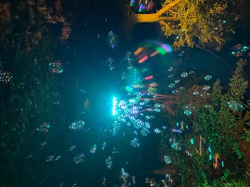 二条城×ネイキッド 二条城夏まつり2021に投稿された画像（2020/8/26）