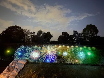 二条城×ネイキッド 二条城夏まつり2021に投稿された画像（2020/8/26）