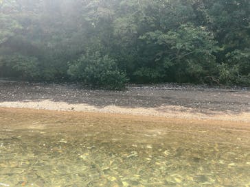 海島遊民くらぶに投稿された画像（2020/8/26）